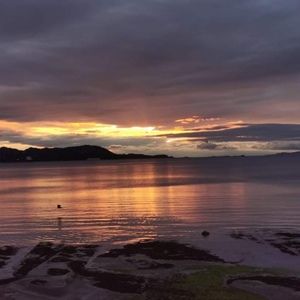 Meet your Posher, Randy